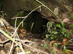 entrance.jpg